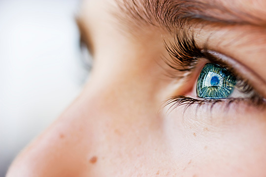 #2. Habitual Sight