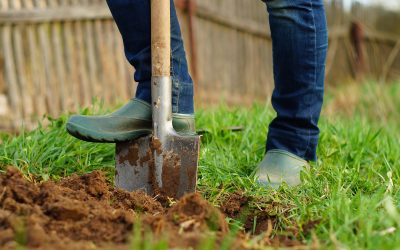 #84. Digging