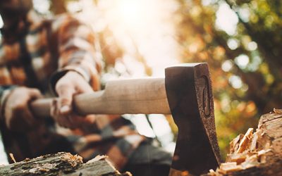 #93. The Wood-Cutter