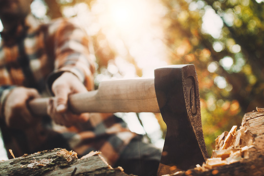 #93. The Wood-Cutter