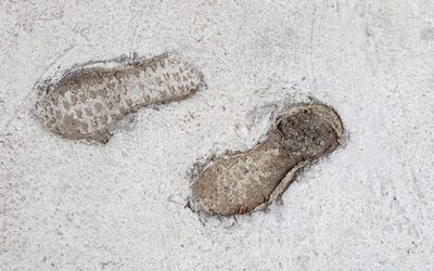 #110. Like Wet Cement