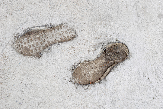 #110. Like Wet Cement