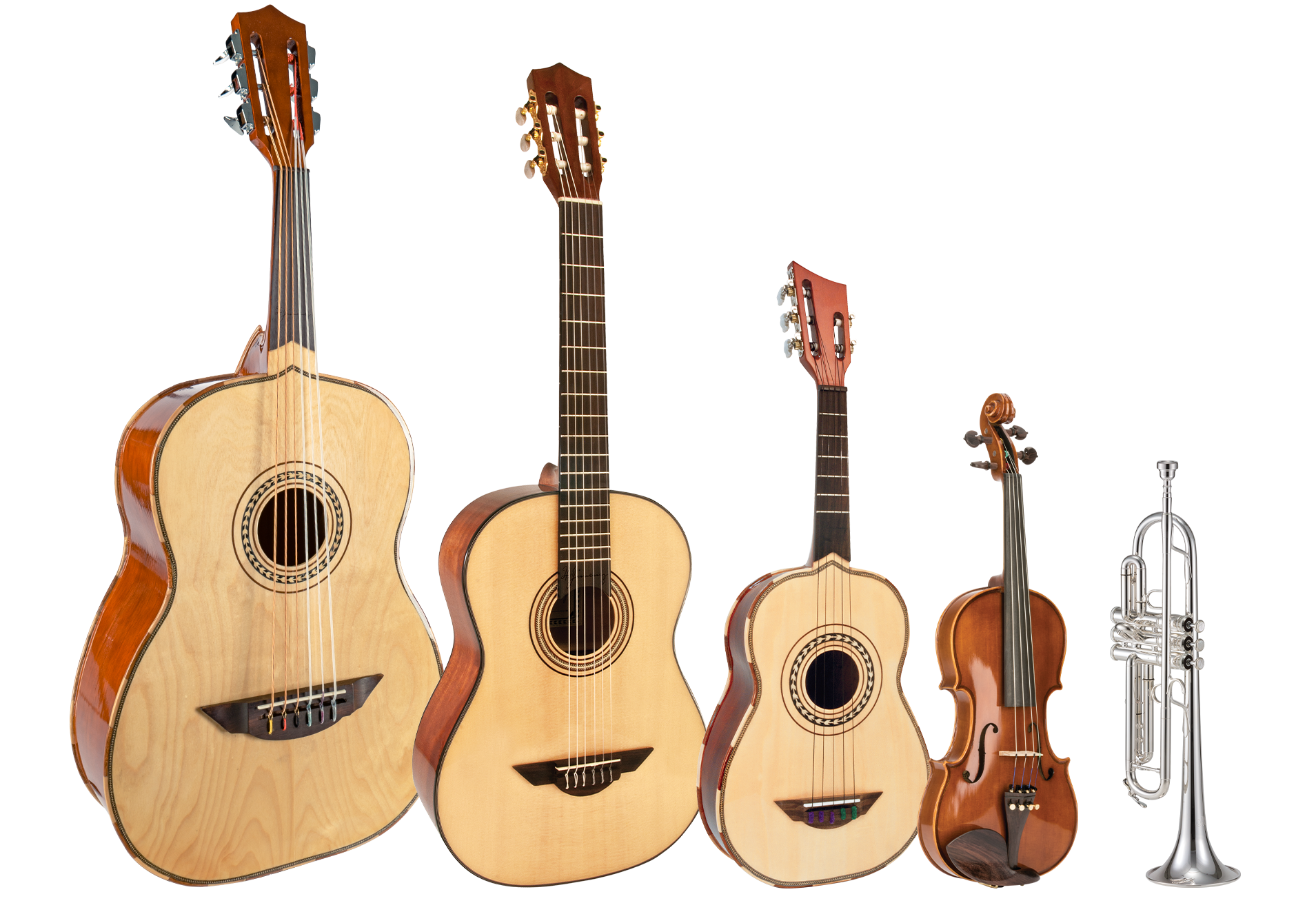 Mariachi Family Of Instruments