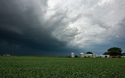 #224. It’s Going To Rain