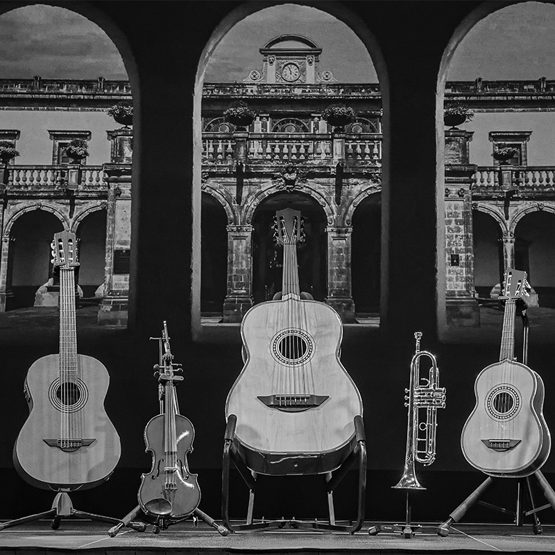 h-jimenez-mariachi-instruments