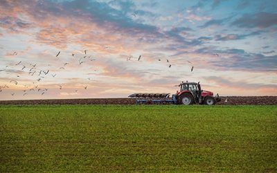 #285. Farming At Its Best