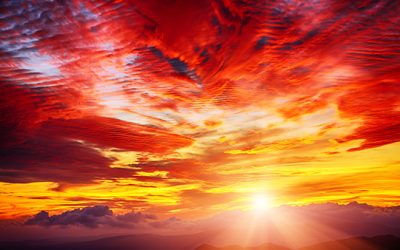 #308. Why Make It Vivid?